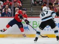 Vitek Vanicek ajuda muito no controle das panteras