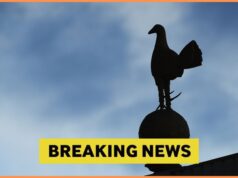 Tottenham quer contratar Moussa Diaby em janeiro