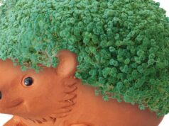 Um filme sobre o quê?!???