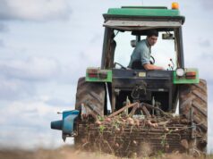 Os líderes da indústria alertam que as contas dos alimentos aumentarão novamente se o Partido Trabalhista assinar um novo acordo com a UE que custará mais aos agricultores britânicos