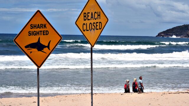 australia-shark-attack-beach-signs.jpg
