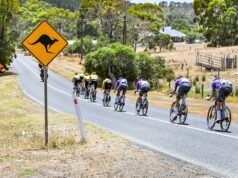 Equipe confirma ossos quebrados de dois pilotos feridos em queda de canguru no Tour Down Under