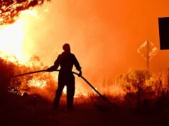 Miley assinou o DNU declarando uma emergência vulcânica na Patagônia