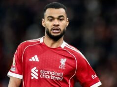 Liverpool está em negociações para assinar um upgrade de £ 87 milhões para Gakpo, que “não está longe” de Hollande