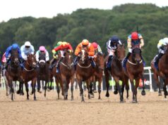 Hoje na Sky Sports Racing: Silky Lass enfrenta Lakota Chief na competição para iniciantes em Newcastle | Notícias de corrida