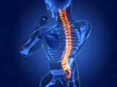 Cientistas descobriram células cerebrais ocultas que ajudam a curar lesões na medula espinhal