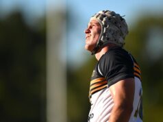 ‘Saiba mais’: a chave para o início escaldante de Meredith