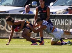 A estrela do Fremantle Dockers, Hayden, sugere que o jovem Murphy Reid terá um grande ano após as seletivas interclubes como meio-campista
