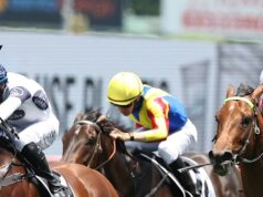 O treinador tem grandes planos para o gestor da estrutura