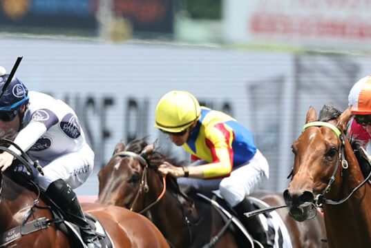 O treinador tem grandes planos para o gestor da estrutura