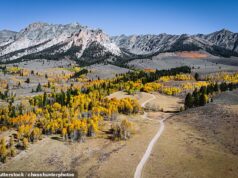 SMALL CAP DRIVERS: Phoenix Copper lança revisão após suspensão de altos executivos