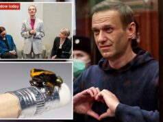 O líder da oposição russa Alexei Navalny foi envenenado por veneno de sapo altamente letal, disse sua viúva