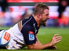 Brumbies feridos ‘atacam’ contra a Força