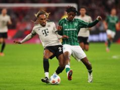 Bundesliga David e Golias