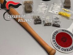 Merano envenenado com carro e taco de beisebol: preso de 27 anos – Notícias