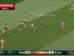 Dibb coloca em um prato