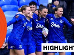 Um gol madrugador do Everton é suficiente para vencer o West Ham United.