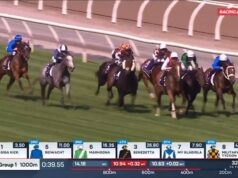 Estrela em ascensão disse outro Grupo 1