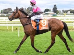 Cinco treinadores de cavalos, incluindo o vencedor da Melbourne Cup, Mark Kavanagh, aprenderão o legado do caso de drogas contra o câncer de mama