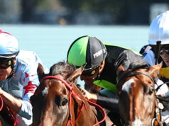 Dicas e prévias segregadas por corrida para Canterbury na sexta-feira