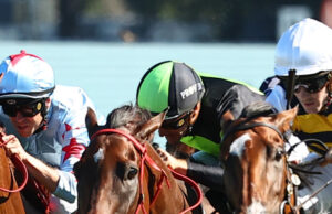 Dicas e prévias segregadas por corrida para Canterbury na sexta-feira