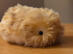 Casio é o animal de estimação AI dos sonhos de Moflin