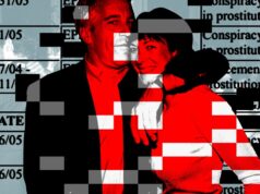 Grupo de Purificação Digital de Jeffrey Epstein