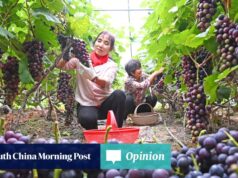 opinião A China quer cultivar um abastecimento alimentar protegido de choques geopolíticos.