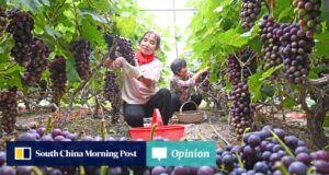 opinião A China quer cultivar um abastecimento alimentar protegido de choques geopolíticos.