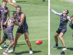 Notas de treinamento do Fremantle Dockers: Luke Ryan, Jeremy Sharpe, Jordan Clarke, Luke Jackson e Shay Bolton News