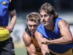 Ryan Daniels: WA deve acreditar que um nativo da AFL como David pode superar Golias