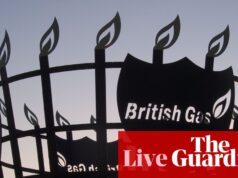 Os lucros do proprietário da British Gas despencam 39%; geração Z passa a negociar em busca de empregos à prova de IA – vida empresarial | Negócios