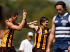 Os Hawks derrotaram os Dingley Cats