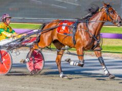 Liam Elliott na fila para uma grande vitória depois que a potranca invicta River Serenade completou o círculo na grande corrida