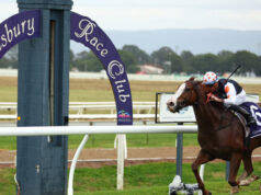 Prévias e dicas da corrida para Hawkesbury quinta-feira