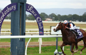 Prévias e dicas da corrida para Hawkesbury quinta-feira