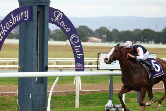 Prévias e dicas da corrida para Hawkesbury quinta-feira