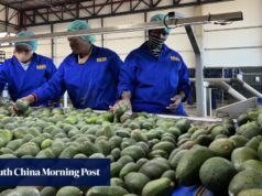 A China afirma que não procurará cooperação com a África do Sul numa política de tarifa zero.