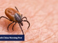 Será que este “superanticorpo” está dominando o SFTS, uma doença mortal transmitida por carrapatos?