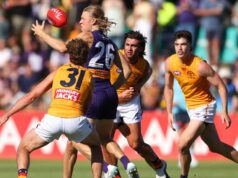Mitchell Woodcock: Hayden Young e Murphy Reid podem levar o meio-campo do Fremantle ao status de elite