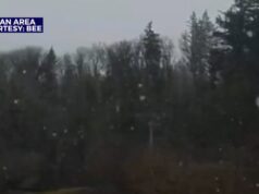 VÍDEO: A neve caiu em Portland na quarta-feira.