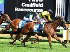 O ex-grande homem dos Eagles, Michael Gardiner, vivencia um sonho tornado realidade com Streisand no Grupo 1 Blue Diamond