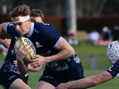 Os Waratahs nomearam ‘Ferrari’ como sua primeira estrela Wallaby na abertura da temporada