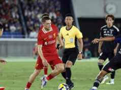 “Eu adoraria brincar com ele”