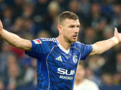 “Muitas pessoas me disseram que eu estava louco.”