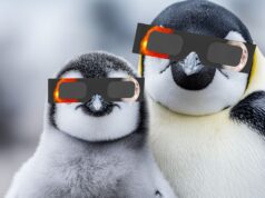 Onde o eclipse solar anular será visível em 17 de fevereiro?