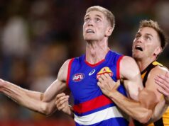 Aulas de inglês para falcões no ajuste perfeito para cães