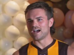 Estrelas do Hawks encantadas que Weddle reacendeu o interesse de Don