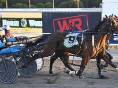 Vitória dupla para o técnico do Albany, Adrian Shanks, e seu colega técnico Hayden Reeves vence o triplo