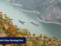 Proibições de pesca aumentam a biomassa no rio Yangtze, na China, promovendo botos sem barbatanas